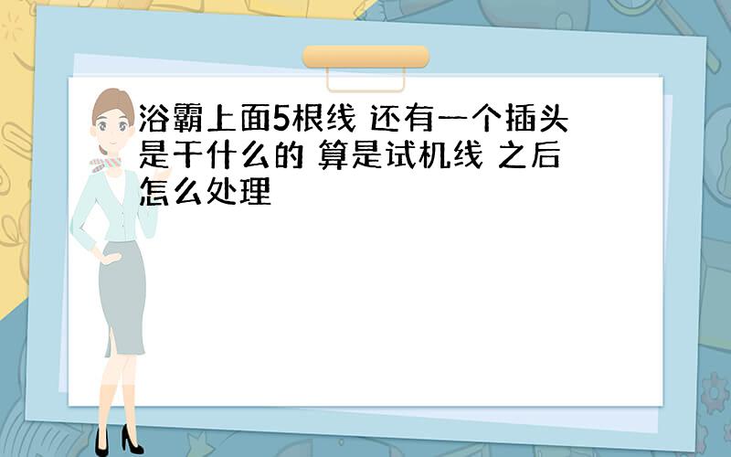 浴霸上面5根线 还有一个插头是干什么的 算是试机线 之后怎么处理