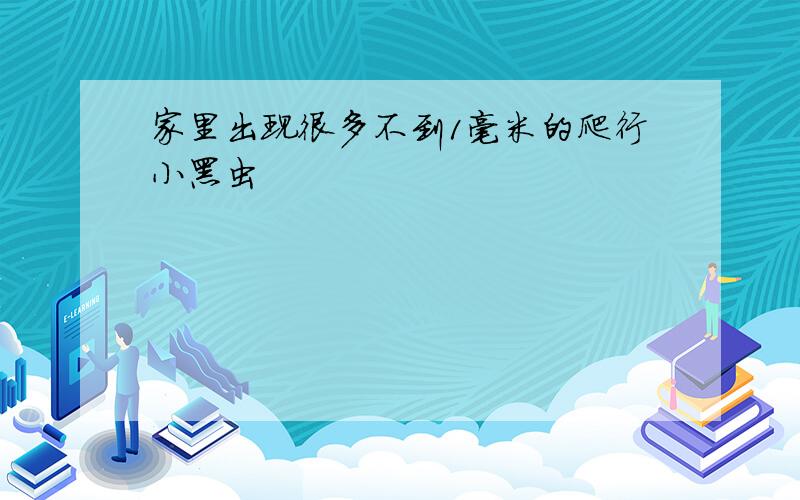 家里出现很多不到1毫米的爬行小黑虫