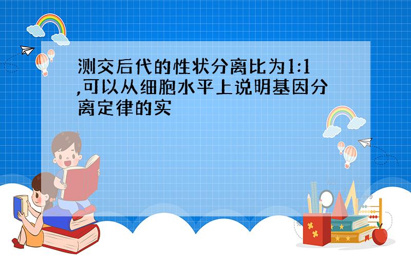 测交后代的性状分离比为1:1,可以从细胞水平上说明基因分离定律的实