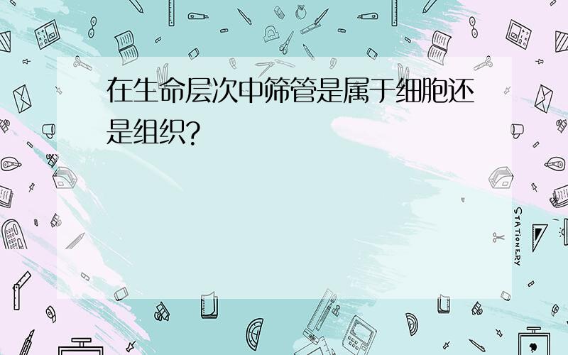 在生命层次中筛管是属于细胞还是组织?