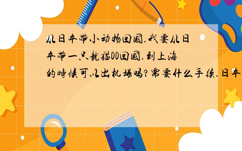 从日本带小动物回国.我要从日本带一只龙猫DD回国.到上海的时候可以出机场吗?需要什么手续.日本的话只要交给乘务员就好,他