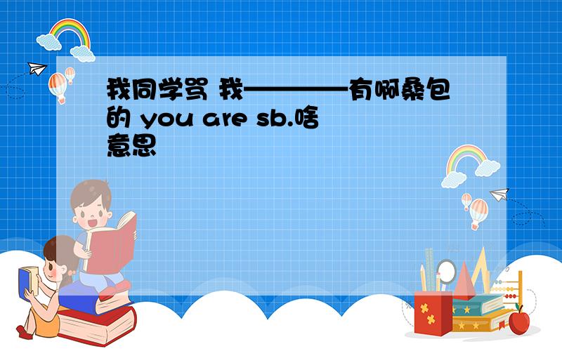 我同学骂 我————有啊桑包的 you are sb.啥意思