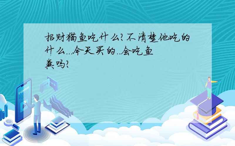 招财猫鱼吃什么?不清楚他吃的什么...今天买的..会吃鱼粪吗?