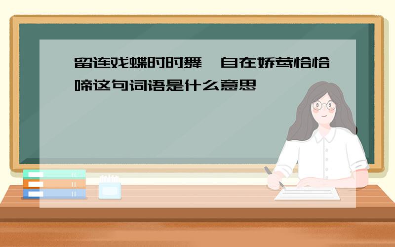 留连戏蝶时时舞,自在娇莺恰恰啼这句词语是什么意思