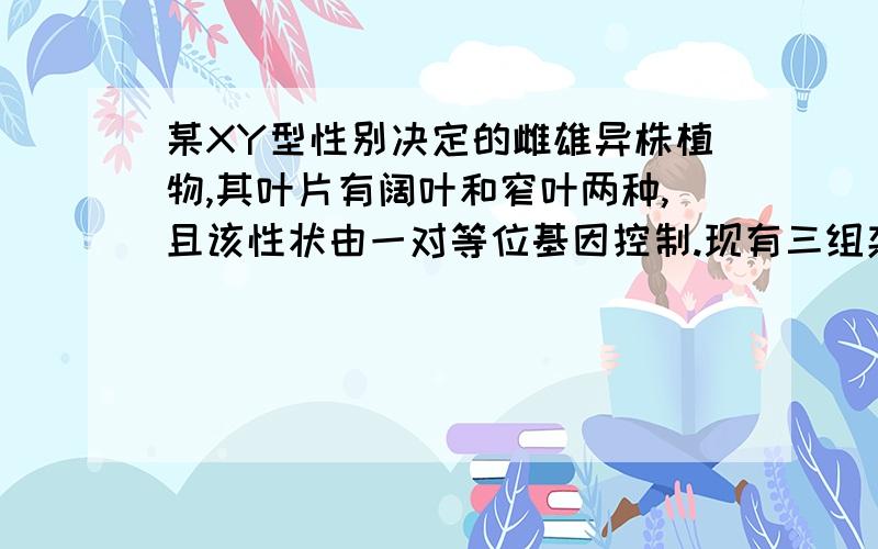 某XY型性别决定的雌雄异株植物,其叶片有阔叶和窄叶两种,且该性状由一对等位基因控制.现有三组杂交实验,结果如下表：