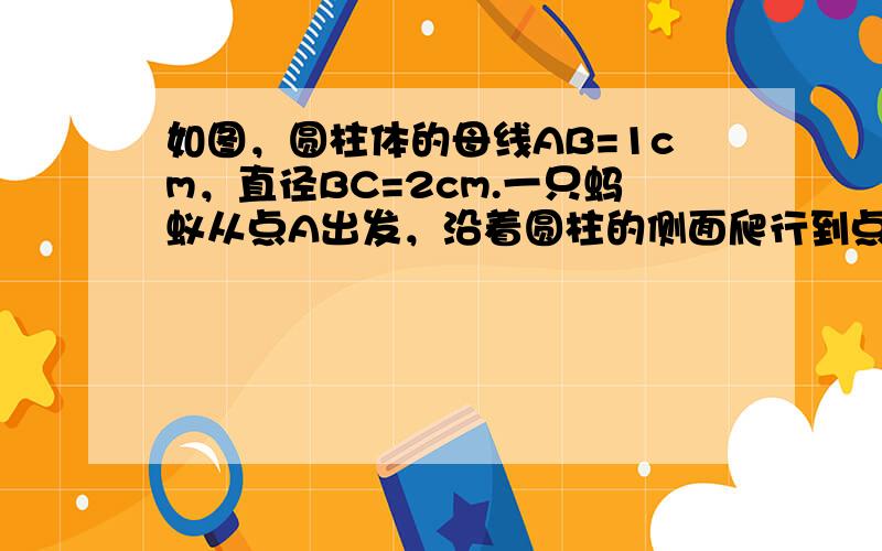 如图，圆柱体的母线AB=1cm，直径BC=2cm.一只蚂蚁从点A出发，沿着圆柱的侧面爬行到点C，那么蚂蚁的最短行程是（