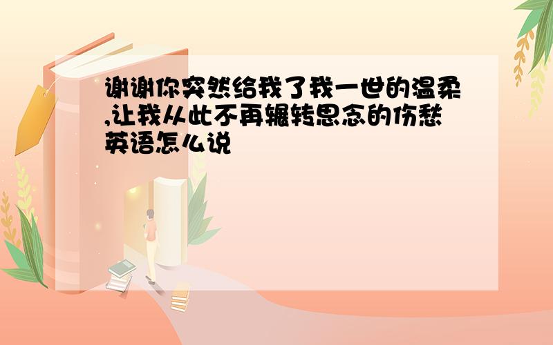 谢谢你突然给我了我一世的温柔,让我从此不再辗转思念的伤愁英语怎么说