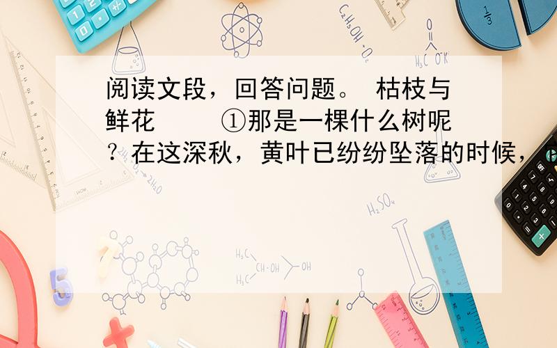 阅读文段，回答问题。 枯枝与鲜花 　　①那是一棵什么树呢？在这深秋，黄叶已纷纷坠落的时候，它却是繁花满枝，显出一种青春和