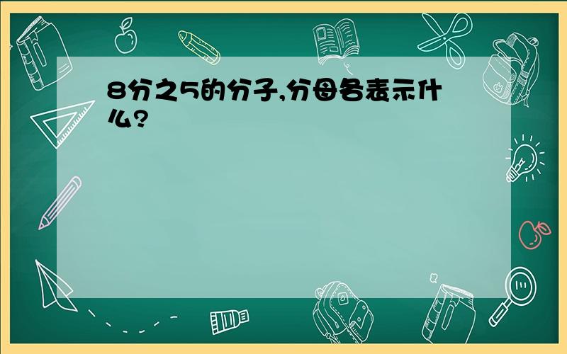 8分之5的分子,分母各表示什么?