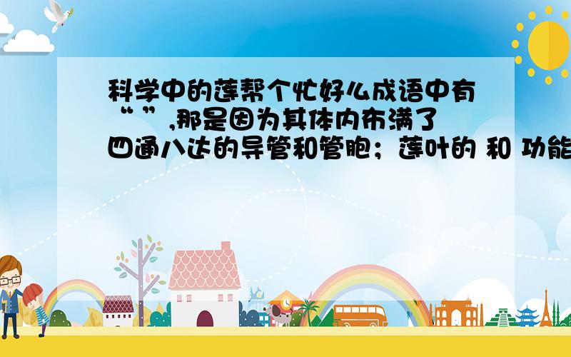 科学中的莲帮个忙好么成语中有“ ”,那是因为其体内布满了四通八达的导管和管胞；莲叶的 和 功能现已广泛用于生产建筑涂料、