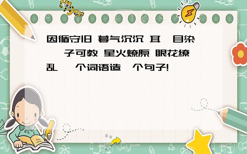 因循守旧 暮气沉沉 耳濡目染 孺子可教 星火燎原 眼花缭乱 一个词语造一个句子!