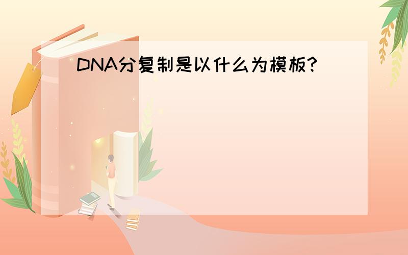 DNA分复制是以什么为模板?