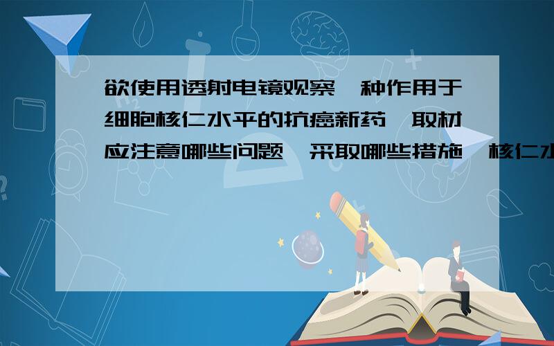 欲使用透射电镜观察一种作用于细胞核仁水平的抗癌新药,取材应注意哪些问题,采取哪些措施,核仁水平可能出现哪些超微结构改变?