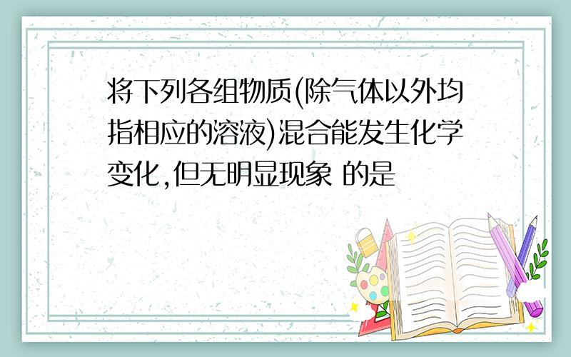 将下列各组物质(除气体以外均指相应的溶液)混合能发生化学变化,但无明显现象 的是