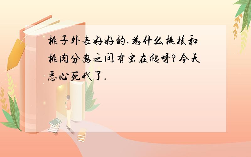 桃子外表好好的,为什么桃核和桃肉分离之间有虫在爬呀?今天恶心死我了.