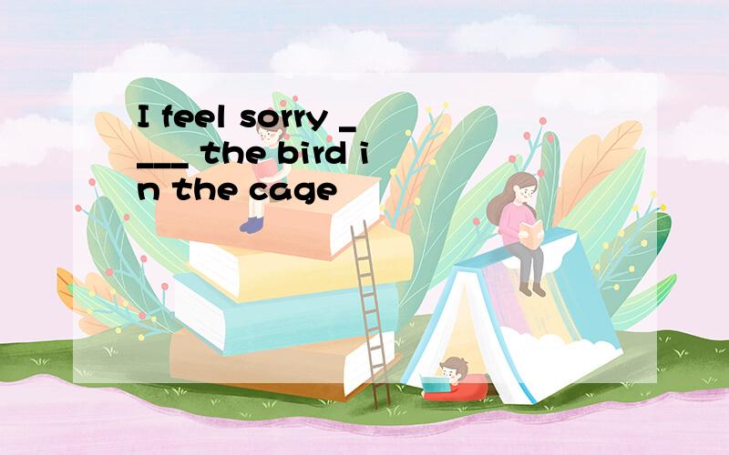 I feel sorry ____ the bird in the cage