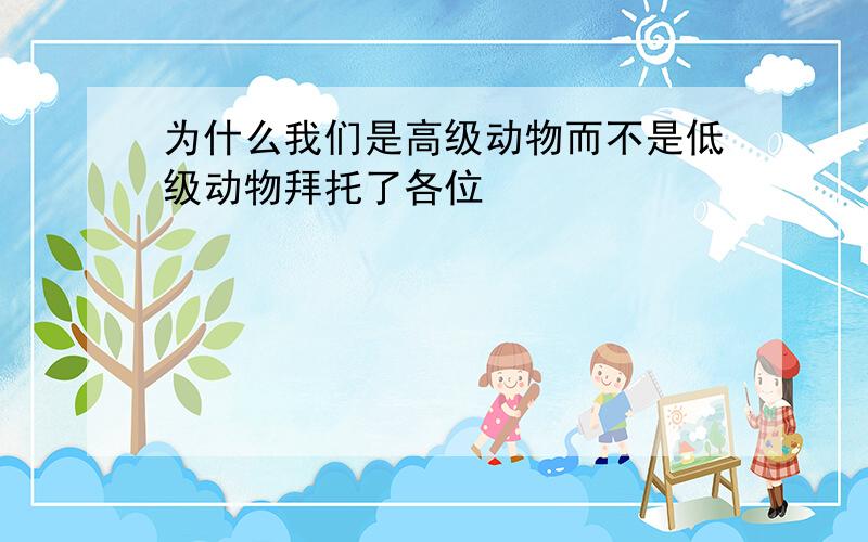 为什么我们是高级动物而不是低级动物拜托了各位