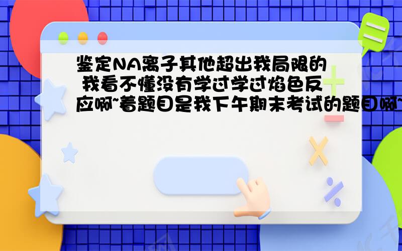 鉴定NA离子其他超出我局限的 我看不懂没有学过学过焰色反应啊~着题目是我下午期末考试的题目啊~