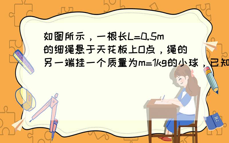 如图所示，一根长L=0.5m的细绳悬于天花板上O点，绳的另一端挂一个质量为m=1kg的小球，已知绳能承受的最大拉力为12