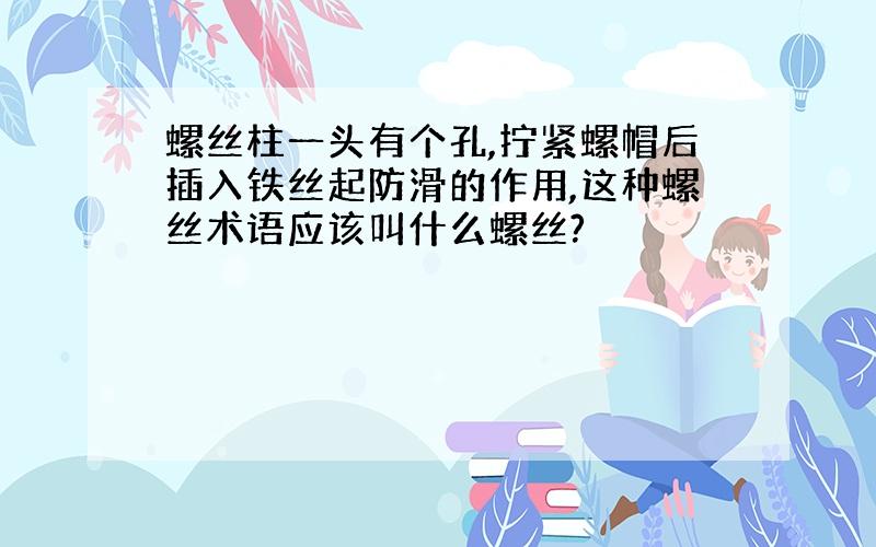 螺丝柱一头有个孔,拧紧螺帽后插入铁丝起防滑的作用,这种螺丝术语应该叫什么螺丝?