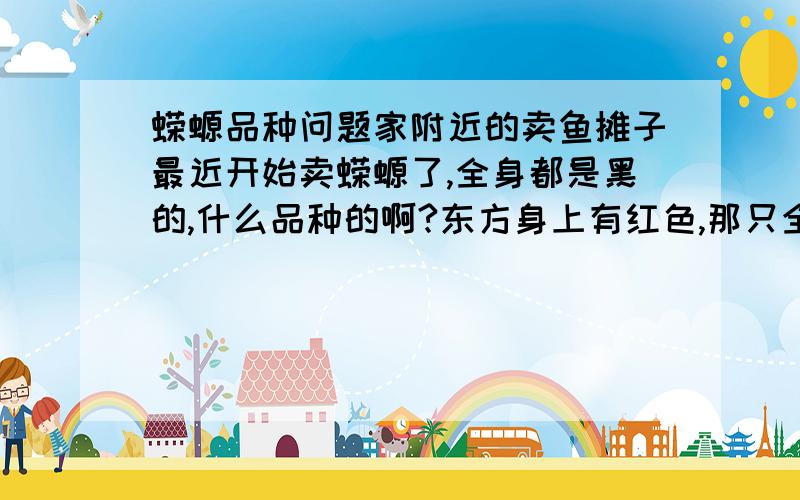 蝾螈品种问题家附近的卖鱼摊子最近开始卖蝾螈了,全身都是黑的,什么品种的啊?东方身上有红色,那只全是黑的,大约半个手指那么