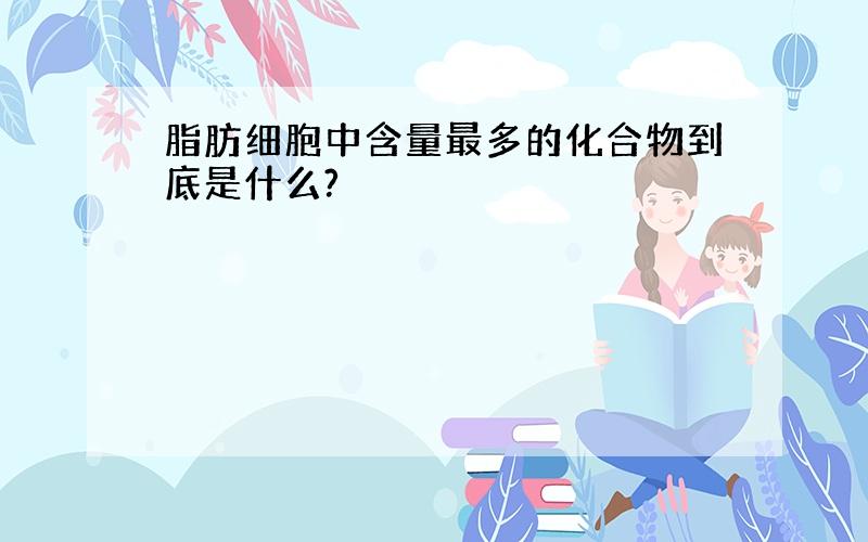 脂肪细胞中含量最多的化合物到底是什么?