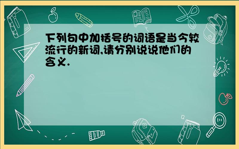 下列句中加括号的词语是当今较流行的新词,请分别说说他们的含义.