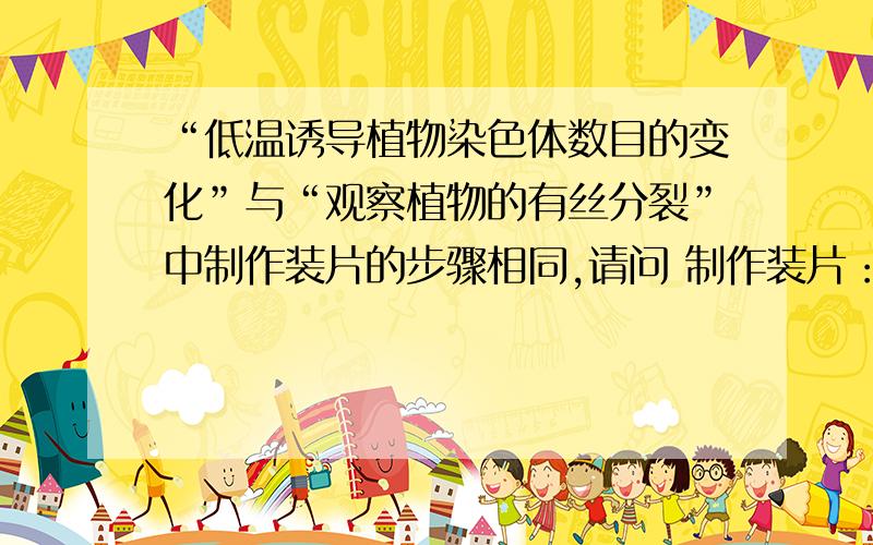 “低温诱导植物染色体数目的变化”与“观察植物的有丝分裂”中制作装片的步骤相同,请问 制作装片：解离,漂洗,染色,和制片