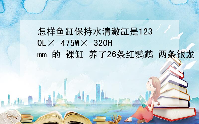 怎样鱼缸保持水清澈缸是1230L× 475W× 320Hmm 的 裸缸 养了26条红鹦鹉 两条银龙 有一个上过滤放的是绵