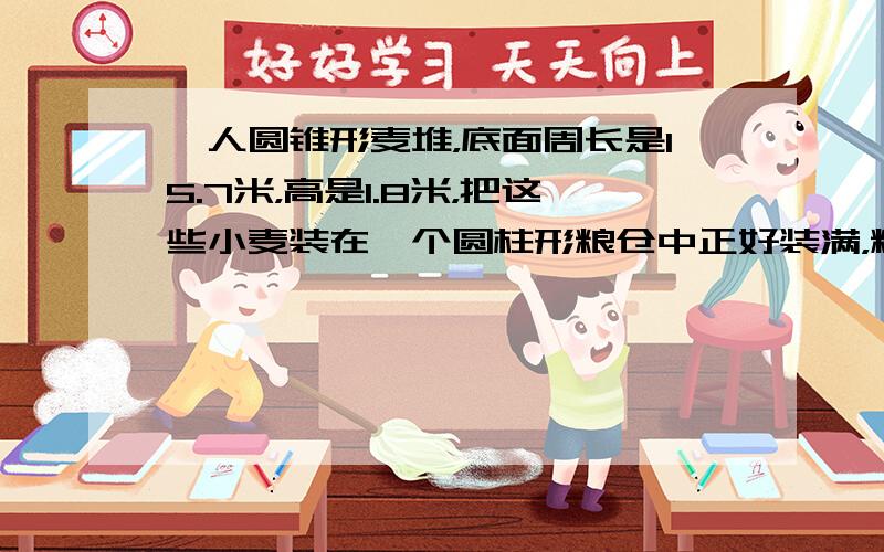 一人圆锥形麦堆，底面周长是15.7米，高是1.8米，把这些小麦装在一个圆柱形粮仓中正好装满，粮仓的高是1.5米，底面积是