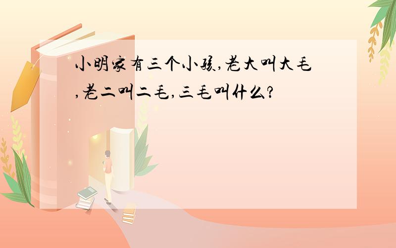 小明家有三个小孩,老大叫大毛,老二叫二毛,三毛叫什么?