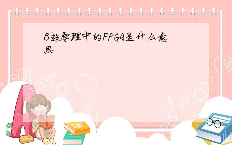 B超原理中的FPGA是什么意思