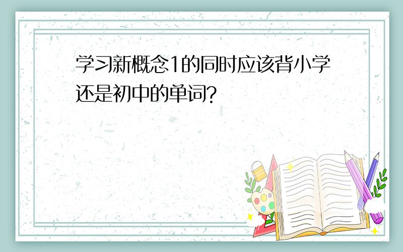 学习新概念1的同时应该背小学还是初中的单词?