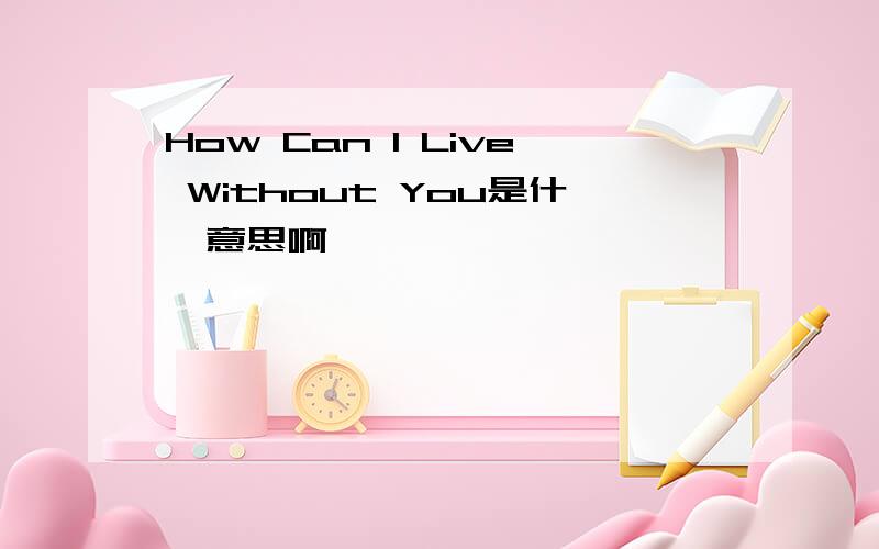 How Can I Live Without You是什麼意思啊