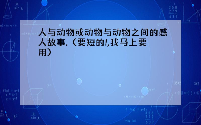 人与动物或动物与动物之间的感人故事.（要短的!,我马上要用）