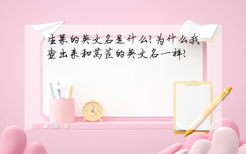 生菜的英文名是什么?为什么我查出来和莴苣的英文名一样?