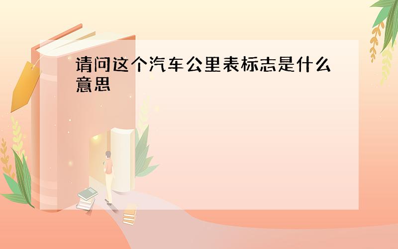 请问这个汽车公里表标志是什么意思