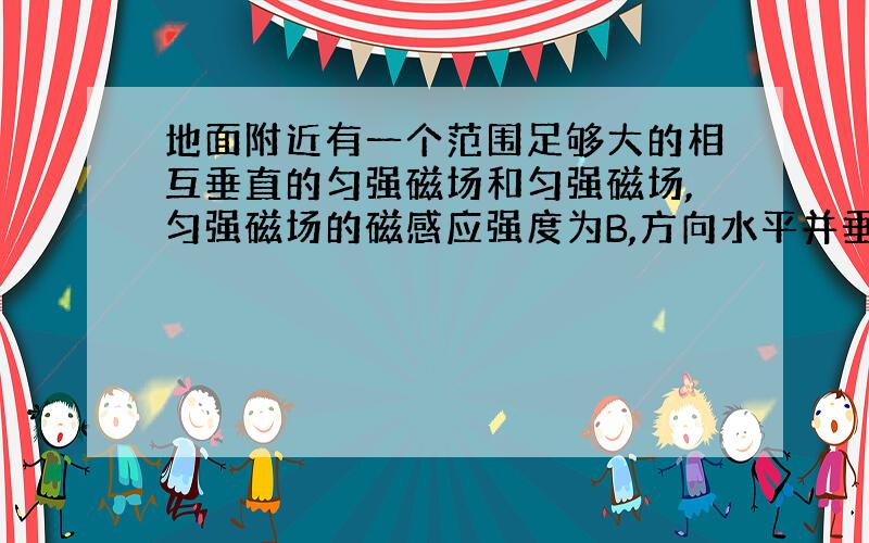 地面附近有一个范围足够大的相互垂直的匀强磁场和匀强磁场,匀强磁场的磁感应强度为B,方向水平并垂直