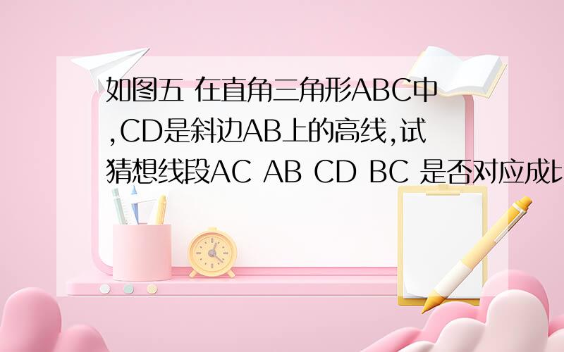 如图五 在直角三角形ABC中,CD是斜边AB上的高线,试猜想线段AC AB CD BC 是否对应成比例