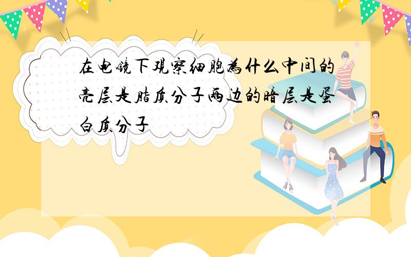 在电镜下观察细胞为什么中间的亮层是脂质分子两边的暗层是蛋白质分子