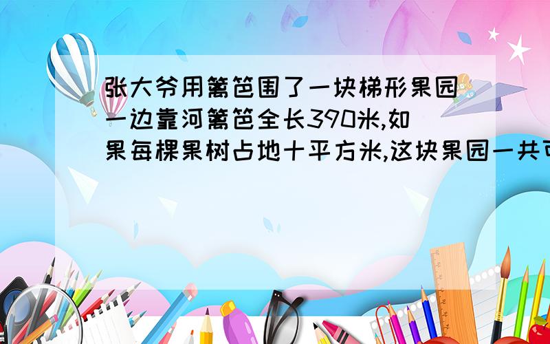 张大爷用篱笆围了一块梯形果园一边靠河篱笆全长390米,如果每棵果树占地十平方米,这块果园一共可栽多少棵树t形的,高是六米