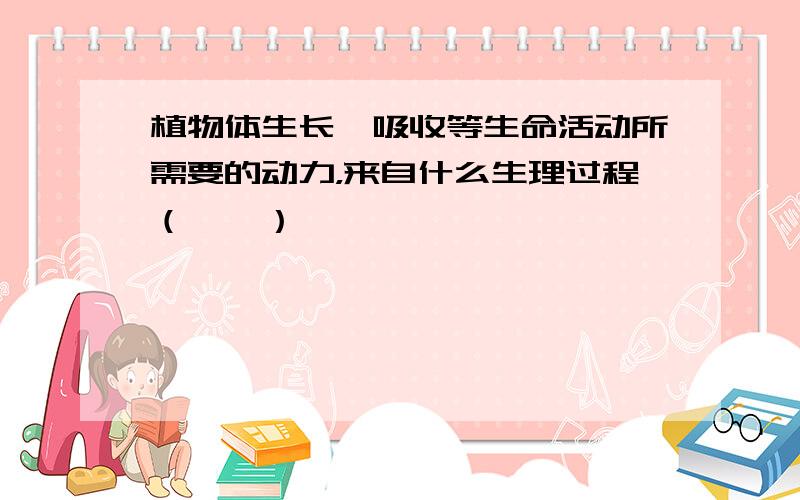 植物体生长、吸收等生命活动所需要的动力，来自什么生理过程（　　）