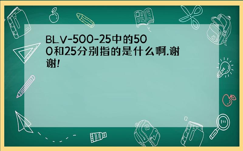 BLV-500-25中的500和25分别指的是什么啊.谢谢!