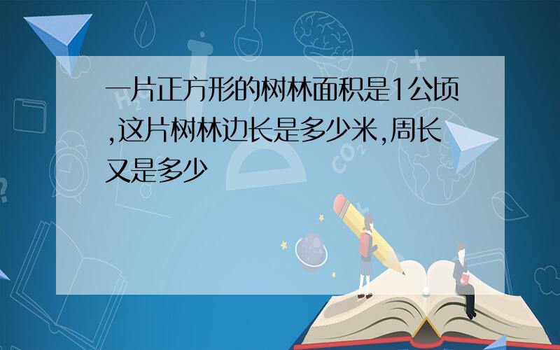 一片正方形的树林面积是1公顷,这片树林边长是多少米,周长又是多少