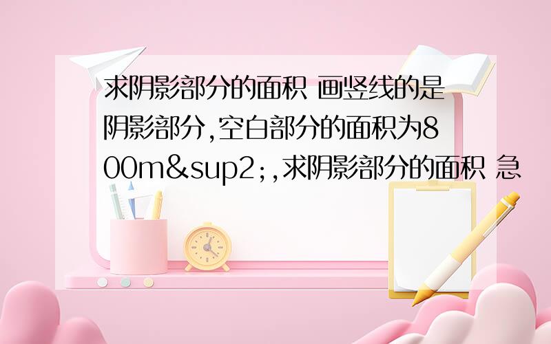 求阴影部分的面积 画竖线的是阴影部分,空白部分的面积为800m²,求阴影部分的面积 急