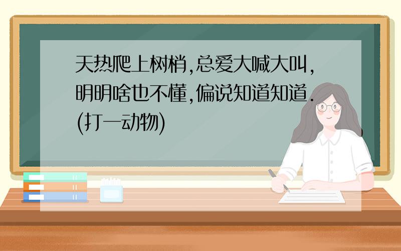 天热爬上树梢,总爱大喊大叫,明明啥也不懂,偏说知道知道.(打一动物)