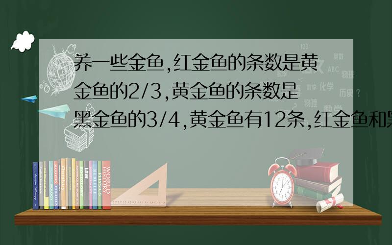 养一些金鱼,红金鱼的条数是黄金鱼的2/3,黄金鱼的条数是黑金鱼的3/4,黄金鱼有12条,红金鱼和黑金鱼各有多少条?