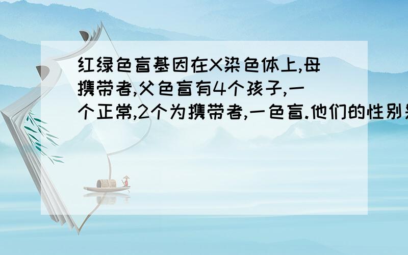 红绿色盲基因在X染色体上,母携带者,父色盲有4个孩子,一个正常,2个为携带者,一色盲.他们的性别是