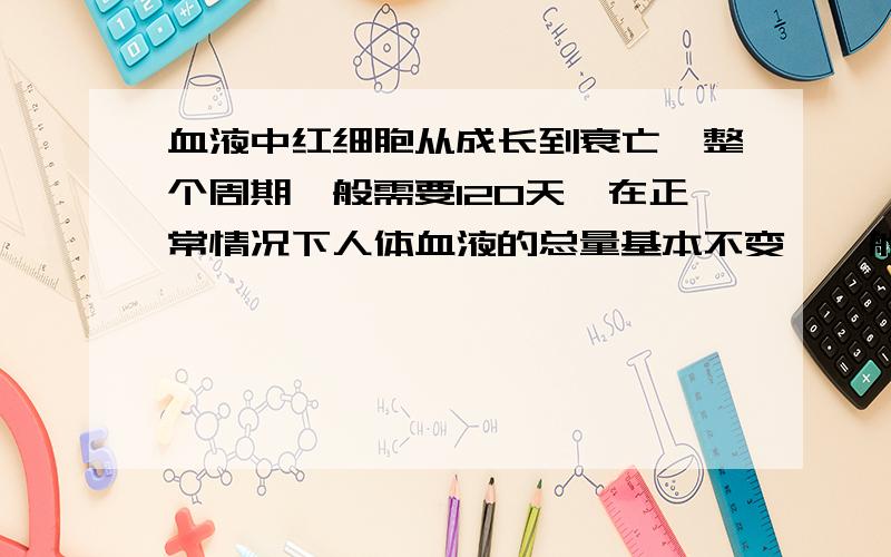 血液中红细胞从成长到衰亡,整个周期一般需要120天,在正常情况下人体血液的总量基本不变,一般成年人血液