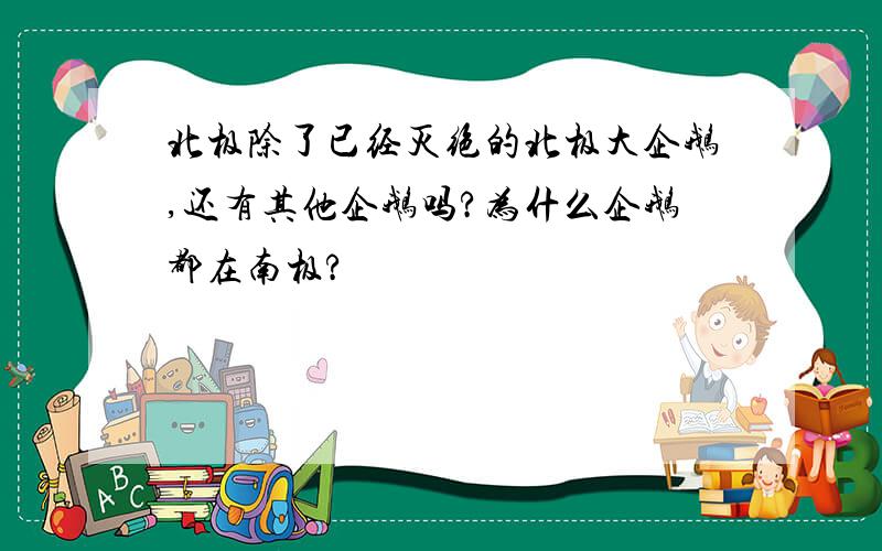 北极除了已经灭绝的北极大企鹅,还有其他企鹅吗?为什么企鹅都在南极?